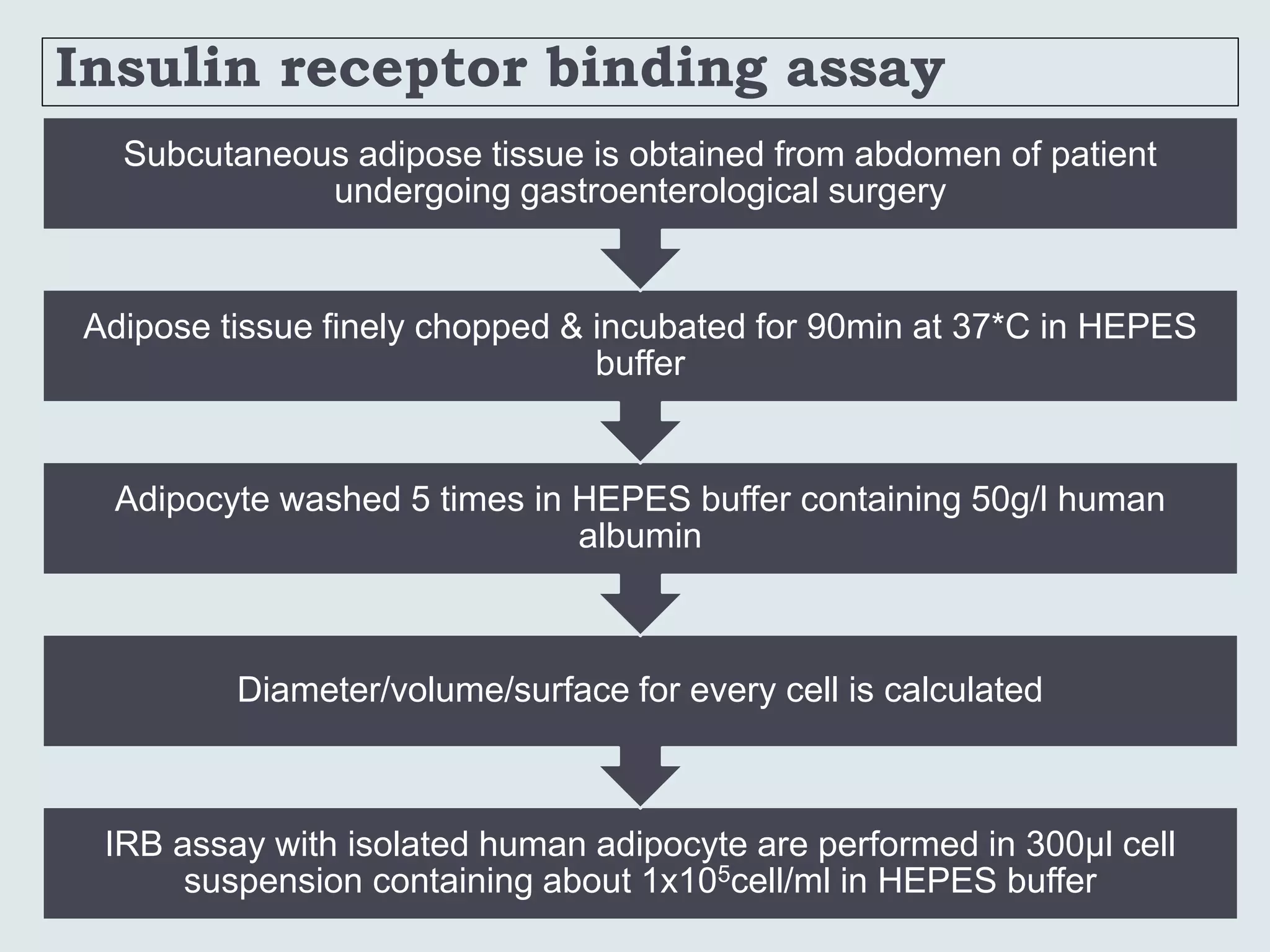 Insulin receptor binding assay
IRB assay with isolated human adipocyte are performed in 300µl cell
suspension containing about 1x105cell/ml in HEPES buffer
Diameter/volume/surface for every cell is calculated
Adipocyte washed 5 times in HEPES buffer containing 50g/l human
albumin
Adipose tissue finely chopped & incubated for 90min at 37*C in HEPES
buffer
Subcutaneous adipose tissue is obtained from abdomen of patient
undergoing gastroenterological surgery
 