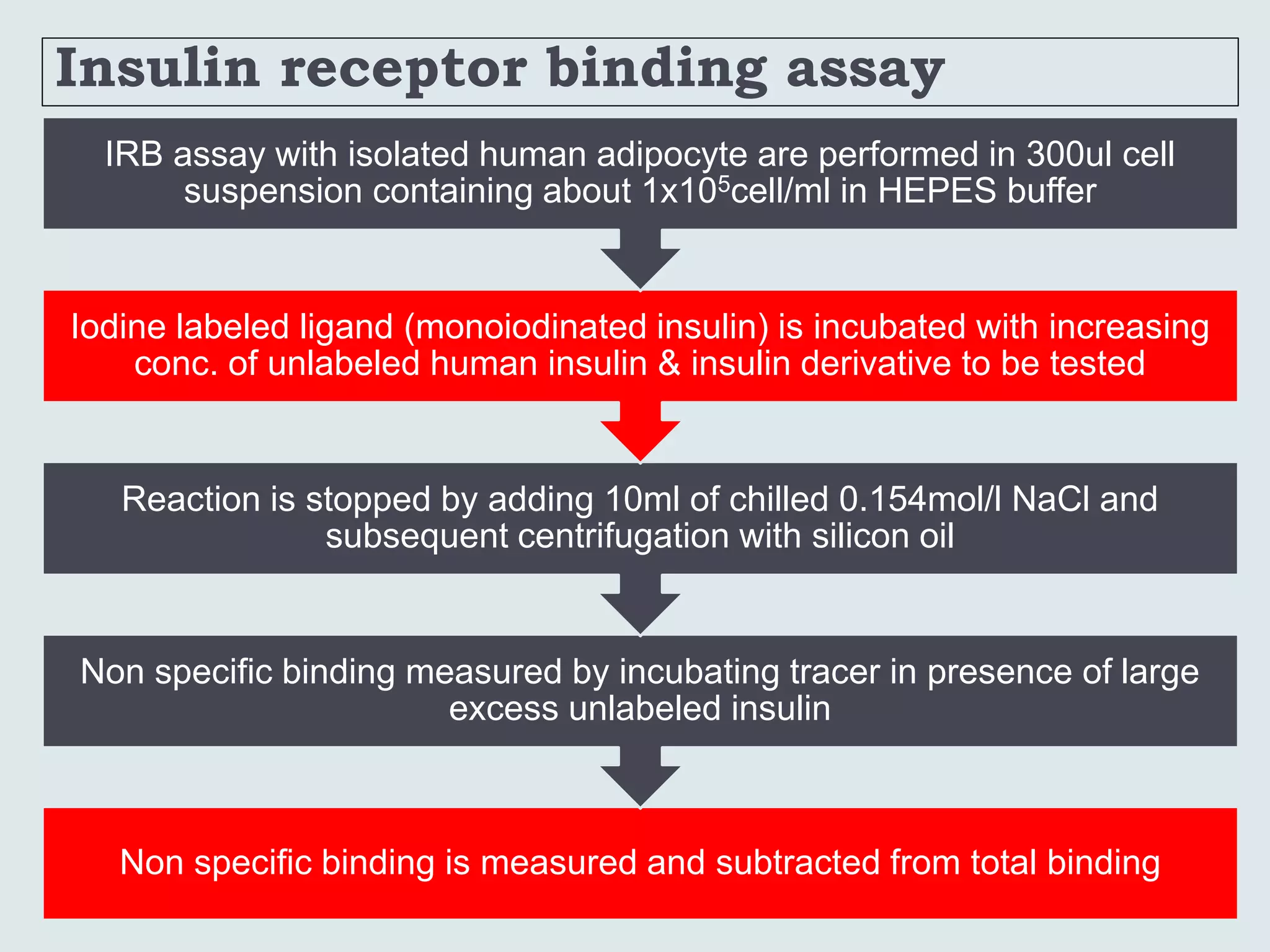 Insulin receptor binding assay
Non specific binding is measured and subtracted from total binding
Non specific binding measured by incubating tracer in presence of large
excess unlabeled insulin
Reaction is stopped by adding 10ml of chilled 0.154mol/l NaCl and
subsequent centrifugation with silicon oil
Iodine labeled ligand (monoiodinated insulin) is incubated with increasing
conc. of unlabeled human insulin & insulin derivative to be tested
IRB assay with isolated human adipocyte are performed in 300ul cell
suspension containing about 1x105cell/ml in HEPES buffer
 