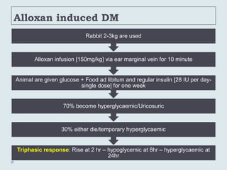 Alloxan induced DM
Triphasic response: Rise at 2 hr – hypoglycemic at 8hr – hyperglycaemic at
24hr
30% either die/temporary hyperglycaemic
70% become hyperglycaemic/Uricosuric
Animal are given glucose + Food ad libitum and regular insulin [28 IU per day-
single dose] for one week
Alloxan infusion [150mg/kg] via ear marginal vein for 10 minute
Rabbit 2-3kg are used
 