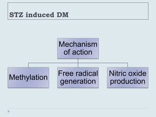 STZ induced DM
Mechanism
of action
Methylation
Free radical
generation
Nitric oxide
production
 
