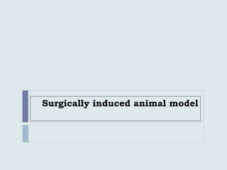 Surgically induced animal model
 