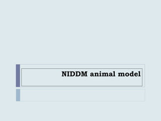 NIDDM animal model
 