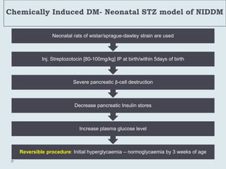 Chemically Induced DM- Neonatal STZ model of NIDDM
Reversible procedure: Initial hyperglycaemia – normoglycaemia by 3 weeks of age
Increase plasma glucose level
Decrease pancreatic Insulin stores
Severe pancreatic β-cell destruction
Inj. Streptozotocin [80-100mg/kg] IP at birth/within 5days of birth
Neonatal rats of wistar/sprague-dawley strain are used
 
