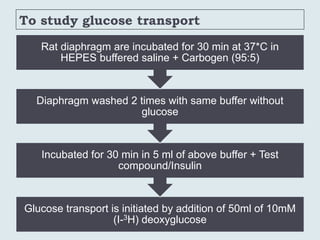 To study glucose transport
Glucose transport is initiated by addition of 50ml of 10mM
(I-3H) deoxyglucose
Incubated for 30 min in 5 ml of above buffer + Test
compound/Insulin
Diaphragm washed 2 times with same buffer without
glucose
Rat diaphragm are incubated for 30 min at 37*C in
HEPES buffered saline + Carbogen (95:5)
 