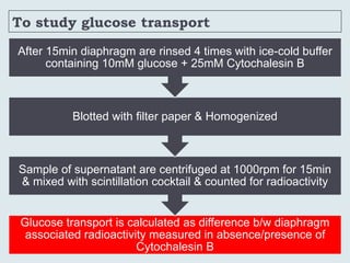 To study glucose transport
Glucose transport is calculated as difference b/w diaphragm
associated radioactivity measured in absence/presence of
Cytochalesin B
Sample of supernatant are centrifuged at 1000rpm for 15min
& mixed with scintillation cocktail & counted for radioactivity
Blotted with filter paper & Homogenized
After 15min diaphragm are rinsed 4 times with ice-cold buffer
containing 10mM glucose + 25mM Cytochalesin B
 