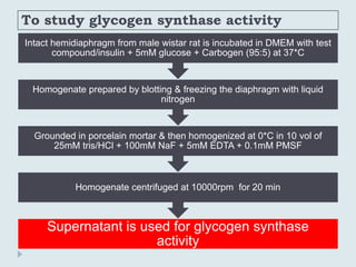 To study glycogen synthase activity
Supernatant is used for glycogen synthase
activity
Homogenate centrifuged at 10000rpm for 20 min
Grounded in porcelain mortar & then homogenized at 0*C in 10 vol of
25mM tris/HCl + 100mM NaF + 5mM EDTA + 0.1mM PMSF
Homogenate prepared by blotting & freezing the diaphragm with liquid
nitrogen
Intact hemidiaphragm from male wistar rat is incubated in DMEM with test
compound/insulin + 5mM glucose + Carbogen (95:5) at 37*C
 