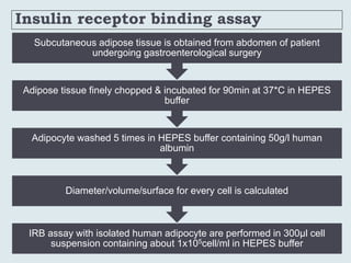 Insulin receptor binding assay
IRB assay with isolated human adipocyte are performed in 300µl cell
suspension containing about 1x105cell/ml in HEPES buffer
Diameter/volume/surface for every cell is calculated
Adipocyte washed 5 times in HEPES buffer containing 50g/l human
albumin
Adipose tissue finely chopped & incubated for 90min at 37*C in HEPES
buffer
Subcutaneous adipose tissue is obtained from abdomen of patient
undergoing gastroenterological surgery
 