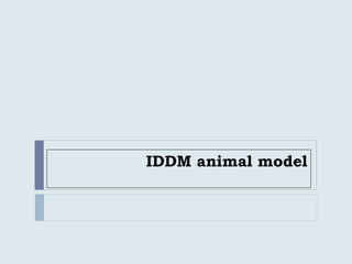 IDDM animal model
 
