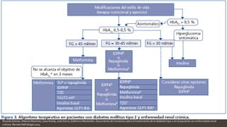 RicardoGómez, Alberto Martínez, Sara Artola, José Górriz, Edelmiro Menéndez. Documento de Consenso sobre el tratamiento de la diabetes tipo 2 en el paciente con enfermedad renal
crónica. Revista Nefrología 2014.
 