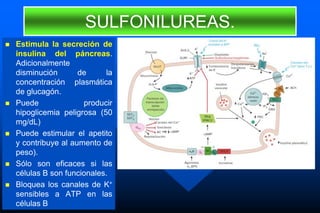 SULFONILUREAS.
 Estimula la secreción de
insulina del páncreas.
Adicionalmente
disminución de la
concentración plasmática
de glucagón.
 Puede producir
hipoglicemia peligrosa (50
mg/dL)
 Puede estimular el apetito
y contribuye al aumento de
peso).
 Sólo son eficaces si las
células B son funcionales.
 Bloquea los canales de K+
sensibles a ATP en las
células B
 
