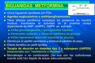 BIGUANIDAS: METFORMINA
 Unica biguanida aprobada por FDA.
 Agentes euglucémicos o antihiperglicemiantes.
 Tiene efectos periféricos complejos en presencia de insulina
residual. Incrementa la actividad de la proteína cinasa
dependiente de AMP (AMPK). AMPK es activada
 Inhibe gluconeogénesis y glucogenolisis hepática.
 Incrementa captación y utilización periférica de glucosa.
 Inhibe ligeramente absorción intestinal de glucosa.
 Disminuye el apetito (anorexia) y promueve pérdida de peso.
 Efecto benéfico en perfil lipídico.
 Terapia de elección en diabetes tipo 2 y sobrepeso (UKPDS)
(relacionada con “resistencia a insulina”).
 Monoterapia o en combinación (Se usa con las sulfonilureas
cuando esta han dejado de actuar adecuadamente)
 