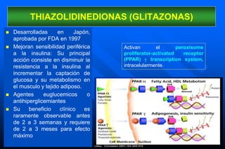 THIAZOLIDINEDIONAS (GLITAZONAS)
 Desarrolladas en Japón,
aprobada por FDA en 1997
 Mejoran sensibilidad periférica
a la insulina: Su principal
acción consiste en disminuir la
resistencia a la insulina al
incrementar la captación de
glucosa y su metabolismo en
el musculo y tejido adiposo.
 Agentes euglucemicos o
antihiperglicemiantes
 Su beneficio clínico es
raramente observable antes
de 2 a 3 semanas y requiere
de 2 a 3 meses para efecto
máximo
Activan el peroxisome
proliferator-activated receptor
(PPAR)  transcription system,
intracelularmente.
 