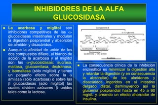 INHIBIDORES DE LA ALFA
GLUCOSIDASA
 La acarbosa y miglitol son
inhibidores competitivos de las -
glucosidasas intestinales y modulan
la digestión posprandial y absorción
de almidón y disacáridos.
 Aunque la afinidad de unión de los
dos compuestos difiere, el blanco de
acción de la acarbosa y el miglitol
son las -glucosidasas: sucrasa,
maltasa, glucoamilasa, dextranasa,
y isomaltasa (sólo miglitol) y tienen
un pequeño efecto sobre la 
amilasa (sólo acarbosa) o sobre las
 glucosidasas (solo miglitol) las
cuales dividen azúcares  unidos
tales como la lactosa.
 La consecuencia clínica de la inhibición
enzimática es minimizar la digestión alta
y retardar la digestión (y en consecuencia
la absorción) de los almidones y
disacáridos ingeridos en el intestino
delgado distal, disminuyendo así la
glucemia posprandial hasta en 45 a 60
mg/dL y creando un efecto ahorrador de
insulina.
 