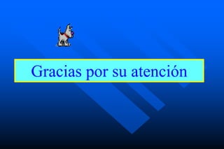 Gracias por su atención
 