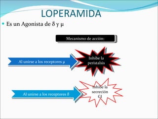 LOPERAMIDA Es un Agonista de  δ  y  μ   Mecanismo de acción: Al unirse a los receptores  μ   Al unirse a los receptores  δ Inhibe la peristalsis Inhibe la secreción GI 