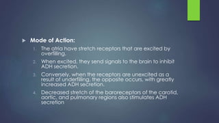  Mode of Action:
1. The atria have stretch receptors that are excited by
overfilling.
2. When excited, they send signals to the brain to inhibit
ADH secretion.
3. Conversely, when the receptors are unexcited as a
result of underfilling, the opposite occurs, with greatly
increased ADH secretion.
4. Decreased stretch of the baroreceptors of the carotid,
aortic, and pulmonary regions also stimulates ADH
secretion
 