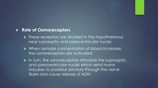  Role of Osmoreceptors
 These receptors are situated in the hypothalamus
near supraoptic and paraventricular nuclei.
 When osmolar concentration of blood increases,
the osmoreceptors are activated.
 In turn, the osmoreceptors stimulate the supraoptic
and paraventricular nuclei which send motor
impulses to posterior pituitary through the nerve
fibers and cause release of ADH.
 