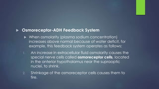  Osmoreceptor-ADH Feedback System
 When osmolarity (plasma sodium concentration)
increases above normal because of water deficit, for
example, this feedback system operates as follows:
1. An increase in extracellular fluid osmolarity causes the
special nerve cells called osmoreceptor cells, located
in the anterior hypothalamus near the supraoptic
nuclei, to shrink.
2. Shrinkage of the osmoreceptor cells causes them to
fire.
 