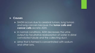  Causes
 SIADH occurs due to cerebral tumors, lung tumors
and lung cancers because the tumor cells and
cancer cells secrete ADH.
 In normal conditions, ADH decreases the urine
output by facultative reabsorption of water in distal
convoluted tubule and the collecting duct.
 Urine that is formed is concentrated with sodium
and other ions.
 