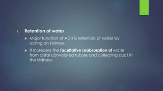 1. Retention of water
 Major function of ADH is retention of water by
acting on kidneys.
 It increases the facultative reabsorption of water
from distal convoluted tubule and collecting duct in
the kidneys.
 