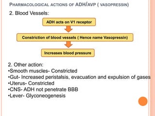 2. Blood Vessels:
PHARMACOLOGICAL ACTIONS OF ADH/AVP ( VASOPRESSIN)
ADH acts on V1 receptor
Constriction of blood vessels ( Hence name Vasopressin)
Increases blood pressure
2. Other action:
•Smooth muscles- Constricted
•Gut- Increased peristalsis, evacuation and expulsion of gases
•Uterus- Constricted
•CNS- ADH not penetrate BBB
•Lever- Glyconeogenesis
 