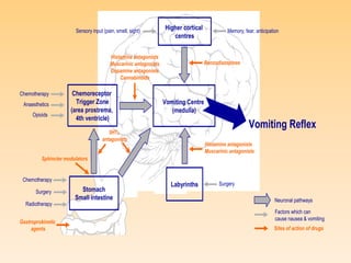 Vomiting Centre
(medulla)
Stomach
Small intestine
Higher cortical
centres
Chemoreceptor
Trigger Zone
(area prostrema,
4th ventricle)
Memory, fear, anticipationSensory input (pain, smell, sight)
Surgery
Surgery
Labyrinths
Anaesthetics
Vomiting Reflex
Neuronal pathways
Factors which can
cause nausea & vomiting
Chemotherapy
Chemotherapy
Radiotherapy
Opioids
Sites of action of drugs
5HT3
antagonists
Sphincter modulators
Histamine antagonists
Muscarinic antagonists
Gastroprokinetic
agents
Benzodiazepines
Histamine antagonists
Muscarinic antagonists
Dopamine antagonists
Cannabinoids
 