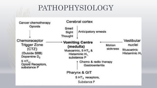 PATHOPHYSIOLOGY
 