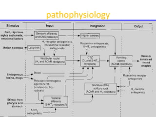 pathophysiology
 