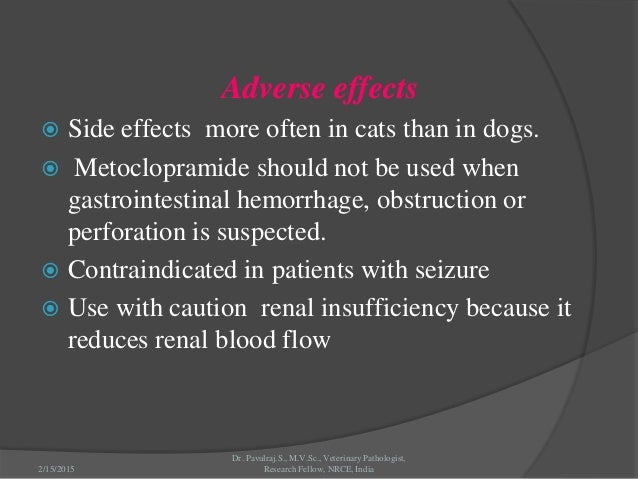Reglan Side Effects In Dogs