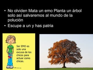 • No olviden Mata un emo Planta un árbol
  solo así salvaremos al mundo de la
  polución
• Escupe a un y has patria
 