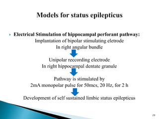 29
 Electrical Stimulation of hippocampal perforant pathway:
Implantation of bipolar stimulating eletrode
In right angular bundle
Unipolar reccording electrode
In right hippocampal dentate granule
Pathway is stimulated by
2mA monopolar pulse for 50mcs, 20 Hz, for 2 h
Development of self sustained limbic status epilepticus
 
