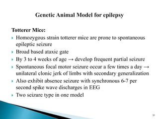 31
Totterer Mice:
 Homozygous strain totterer mice are prone to spontaneous
epileptic seizure
 Broad based ataxic gate
 By 3 to 4 weeks of age → develop frequent partial seizure
 Spontaneous focal motor seizure occur a few times a day →
unilateral clonic jerk of limbs with secondary generalization
 Also exhibit absence seizure with synchronous 6-7 per
second spike wave discharges in EEG
 Two seizure type in one model
 