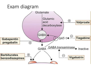 Exam diagram
 