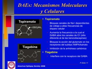 DAEs: Mecanismos Moleculares
        y Celulares
                           Topiramato
 Topiramato                      • Bloquea canales de Na+ dependientes
                                   de voltaje a altas frecuencias de
                                   disparo celular
                                 • Aumenta la frecuencia a la cual el
                                   GABA abre los canales de Cl- (sitio
                                   diferente al de las benzodiacepines)
                                 • Bloquea la acción del glutamato en los
                                   receptores del subtipo AMPA/kainato
     Tiagabina                   • Inhibición de la anhidrasa carbónica
                           Tiagabine
                                 •   Interfiere con la recaptura del GABA

                                                                 P-Slide 11
American Epilepsy Society 2008
 