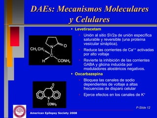 DAEs: Mecanismos Moleculares
        y Celulares
                           Levetiracetam
                                 • Unión al sitio SV2a de unión específica
                                   saturable y reversible (una proteína
                                   vesicular sináptica).
                                 • Reduce las corrientes de Ca++ activadas
                                   por alto voltaje
                             • Revierte la inhibición de las corrientes
                                GABA y glicina inducida por
                                moduladores alostéricos negativos.
                           Oxcarbazepina
                                 • Bloquea las canales de sodio
                                   dependientes de voltaje a altas
                                   frecuencias de disparo celular
                                 • Ejerce efectos en los canales de K+


                                                                 P-Slide 12
American Epilepsy Society 2008
 