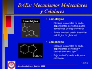 DAEs: Mecanismos Moleculares
        y Celulares
                                  Lamotrigina
      Lamotrigina
                                    • Bloquea los canales de sodio
                                      dependientes de voltaje a altas
                                      frecuencias de disparo celular
                                    • Puede interferir con la liberación
                                      patológica de glutamato

                                  Zonisamida
                                    • Bloquea los canales de sodio
                                      dependientes de voltaje y
                                      canales de calcio tipo T
                                    • Baja inhibición de la anhidrasa
                                      carbónica

                                                                  P-Slide 9
American Epilepsy Society 2008
 