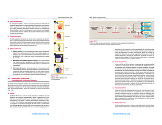 Farmacologia Ilustrada 231
B. Usos terapêuticos
A vantagem terapêutica primária dos β-bloqueadores é observada em
pacientes hipertensos com doença cardíaca concomitante, como taquiar-
ritmia supraventricular (p. ex. fibrilação atrial), infarto do miocárdico pré-
vio, angina pectoris e insuficiência cardíaca crônica. As condições que
desaconselham o uso de β-bloqueadores incluem doença broncoespásti-
ca como asma, bloqueio cardíaco de segundo e terceiro graus e doença
vascular periférica grave.
C. Farmacocinética
Os β-bloqueadores são ativos por via oral para o tratamento da hiperten-
são. O propranolol sofre biotransformação de primeira passagem extensa
e altamente variável. Os β-bloqueadores podem demorar várias semanas
até desenvolverem seu efeito pleno. Esmolol, metoprolol e propranolol
estão disponíveis em formulação intravenosa (IV).
D. Efeitos adversos
1. Efeitos comuns: Os β-bloqueadores podem causar bradicardia,
hipotensão e efeitos adversos no SNC, como fadiga, letargia e in-
sônia (Fig. 17.9). Os β-bloqueadores podem diminuir a libido e cau-
sar disfunção erétil, o que pode reduzir acentuadamente a adesão
do paciente.
2. Alterações nos padrões lipídicos séricos: Os β-bloqueadores
não seletivos podem desregular o metabolismo lipídico, dimi-
nuindo a lipoproteína de alta densidade (HDL) e aumentando os
triglicerídeos.
3. Retirada do fármaco: A retirada abrupta dos β-bloqueadores pode
causar angina, infarto do miocárdio e mesmo a morte súbita de pa-
cientes com doença cardíaca isquêmica. Por isso, esses fármacos
devem ser reduzidos gradualmente ao longo de algumas semanas
em pacientes com hipertensão e doença cardíaca isquêmica.
VII. 
INIBIDORES DA ENZIMA
CONVERSORA DE ANGIOTENSINA
Os IECAs, como enalapril e lisinopril, são recomendados como tratamento
de primeira escolha contra hipertensão em pacientes com uma variedade de
indicações, incluindo risco alto de doença coronária ou história de diabetes,
AVE, insuficiência cardíaca, infarto do miocárdio ou doença renal crônica
(Fig. 17.5).
A. Ações
Os IECAs diminuem a pressão arterial reduzindo a resistência vascular
periférica sem aumentar reflexamente o débito, a frequência ou a con-
tratilidade cardíaca. Esses fármacos bloqueiam a ECA que hidrolisa a
angiotensina I para formar o potente vasoconstritor angiotensina II (Fig.
17.10). A ECA também é responsável pela degradação da bradicinina,
um peptídeo que aumenta a produção de óxido nítrico e prostaciclinas
nos vasos sanguíneos. Ambos, óxido nítrico e prostaciclinas, são poten-
tes vasodilatadores. Os IECAs diminuem os níveis de angiotensina II e
Bradicardia
Fadiga
Insônia
Disfunção
sexual
PA
Hipotensão
Figura 17.9
Alguns efeitos adversos dos
β-bloqueadores.
Capitulo_17_Whalen.indd 231 27/04/2016 14:07:58
ERRNVPHGLFRVRUJ
232 Whalen, Finkel  Panavelil
aumentam os de bradicinina. Ocorre vasodilatação de arteríolas e veias
como resultado da menor vasoconstrição causada pela redução dos
níveis de angiotensina II e maior vasodilatação devido ao aumento da
bradicinina. Reduzindo os níveis de angiotensina II circulante, os IECAs
também diminuem a secreção de aldosterona, resultando em menor re-
tenção de sódio e água. Os IECAs diminuem a pré-carga e a pós-carga
cardíaca, reduzindo, assim, o trabalho cardíaco.
B. Usos terapêuticos
Como os BRAs, os IECAs retardam a progressão da nefropatia diabética
e diminuem a albuminúria. Por isso, são fortemente indicados para uso
em pacientes com nefropatia diabética. Os efeitos benéficos na função
renal podem resultar da diminuição da pressão intraglomerular devido à
vasodilatação da arteríola eferente. Os IECAs são usados no cuidado de
pacientes após infarto do miocárdio e são fármacos de primeira escolha
no tratamento de pacientes com disfunções sistólicas. O tratamento crô-
nico com IECAs obtém redução sustentada da pressão arterial, regres-
são da hipertrofia ventricular esquerda e prevenção do remodelamento
ventricular, após infarto do miocárdio. Os IECAs são os fármacos de pri-
meira escolha para tratar a insuficiência cardíaca, os pacientes hiper-
tensos com doença renal crônica e os pacientes com risco elevado de
doença arterial coronariana. Todos os IECAs são igualmente eficazes no
tratamento da hipertensão, em doses equivalentes.
C. Farmacocinética
Todos os IECAs são biodisponíveis por via oral como fármaco ou pró-
-fármaco. Todos são convertidos no metabólito ativo no fígado, exceto
captopril e lisinopril, de forma que estes dois podem ser preferidos para
pacientes com grave insuficiência hepática. Fosinopril é o único IECA que
não é eliminado primariamente pelos rins e não requer ajuste de dosa-
gem em pacientes com insuficiência renal. Enalaprilato é o único fármaco
desta classe disponível para uso IV.
D. Efeitos adversos
Os efeitos adversos comuns incluem tosse seca, exantema, febre, altera-
ção do paladar, hipotensão (em estados hipovolêmicos) e hiperpotassemia
Angiotensina I
(inativa)
Angiotensinogênio
(globulina 2
no sangue)
Produção de
aldosterona
Antagonistas de receptor
de aldosterona
Débito do
sistema nervoso
simpático
Retenção de
sódio e água
Diminui a
pressão aterial
Vasodilatação
dos músculos
lisos vasculares
Renina
Inibidores da renina
Angiotensina II
ECA
Inibidores da ECA BRAs
Figura 17.10
Efeitos de várias classes de fármacos no sistema renina-angiotensina-aldosterona.
Azul, enzimas alvo de fármacos; vermelho, classe de fármacos.
Capitulo_17_Whalen.indd 232 27/04/2016 14:07:58
ERRNVPHGLFRVRUJ
 