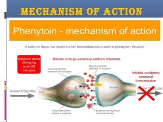 MECHANISM OF ACTION
 