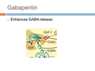 gabapentin gaba release
