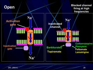 Open Na + Na + Na + Inactivation gate Activation gate Carbamazepine Phenytoin Felbamate Lamotrigine Inactivated channel Blocked channel firing at high frequencies Barbiturates Topiramate Na + Na+ Na+ Na+ 