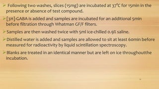  Following two washes, slices (15mg) are incubated at 37°C for 15min in the
presence or absence of test compound.
[3H]-GABA is added and samples are incubated for an additional 5min
before ﬁltration through Whatman GF/F ﬁlters.
Samples are then washed twice with 5ml ice-chilled 0.9% saline.
Distilled water is added and samples are allowed to sit at least 60min before
measured for radioactivity by liquid scintillation spectroscopy.
Blanks are treated in an identical manner but are left on ice throughoutthe
incubation.
18
 