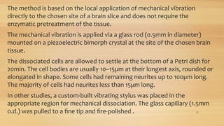 The method is based on the local application of mechanical vibration
directly to the chosen site of a brain slice and does not require the
enzymatic pretreatment of the tissue.
The mechanical vibration is applied via a glass rod (0.5mm in diameter)
mounted on a piezoelectric bimorph crystal at the site of the chosen brain
tissue.
The dissociated cells are allowed to settle at the bottom of a Petri dish for
20min. The cell bodies are usually 10–15µm at their longest axis, rounded or
elongated in shape. Some cells had remaining neurites up to 100µm long.
The majority of cells had neurites less than 15µm long.
In other studies, a custom-built vibrating stylus was placed in the
appropriate region for mechanical dissociation. The glass capillary (1.5mm
o.d.) was pulled to a ﬁne tip and ﬁre-polished . 21
 