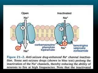 Comprehensive Overview of Antiepileptic Drugs and Epilepsy Management ...