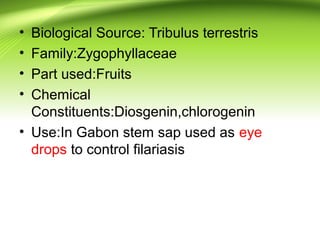 • Biological Source: Tribulus terrestris
• Family:Zygophyllaceae
• Part used:Fruits
• Chemical
Constituents:Diosgenin,chlorogenin
• Use:In Gabon stem sap used as eye
drops to control filariasis
 