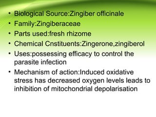 • Biological Source:Zingiber officinale
• Family:Zingiberaceae
• Parts used:fresh rhizome
• Chemical Cnstituents:Zingerone,zingiberol
• Uses:possessing efficacy to control the
parasite infection
• Mechanism of action:Induced oxidative
stress has decreased oxygen levels leads to
inhibition of mitochondrial depolarisation
 