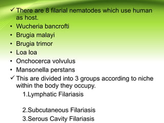 There are 8 filarial nematodes which use human
as host.
• Wucheria bancrofti
• Brugia malayi
• Brugia trimor
• Loa loa
• Onchocerca volvulus
• Mansonella perstans
This are divided into 3 groups according to niche
within the body they occupy.
1.Lymphatic Filariasis
2.Subcutaneous Filariasis
3.Serous Cavity Filariasis
 