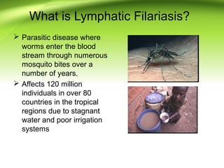 What is Lymphatic Filariasis?
 Parasitic disease where
worms enter the blood
stream through numerous
mosquito bites over a
number of years.
 Affects 120 million
individuals in over 80
countries in the tropical
regions due to stagnant
water and poor irrigation
systems
 