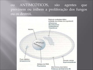 ou ANTIMCÓTICOS,  são agentes que
previnem ou inibem a proliferação dos fungos
ou os destrói.
 