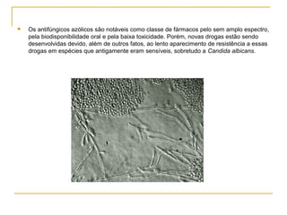  Os antifúngicos azólicos são notáveis como classe de fármacos pelo sem amplo espectro,
pela biodisponibilidade oral e pela baixa toxicidade. Porém, novas drogas estão sendo
desenvolvidas devido, além de outros fatos, ao lento aparecimento de resistência a essas
drogas em espécies que antigamente eram sensíveis, sobretudo a Candida albicans.
 