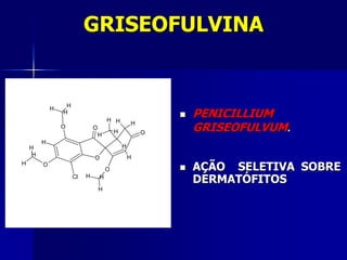 GRISEOFULVINA


                  H
                                                               PENICILLIUM
             H
                 H
                                                           
                                       H H
                                                               GRISEOFULVUM.
                                                   H
                 O             O
                                           H           O
                                   H
         H
    H                                          H
     H                                             H
                               O
H        O
                                       O                      AÇÃO SELETIVA SOBRE
                      Cl   H       H
                                                               DERMATÓFITOS
                                   H
 